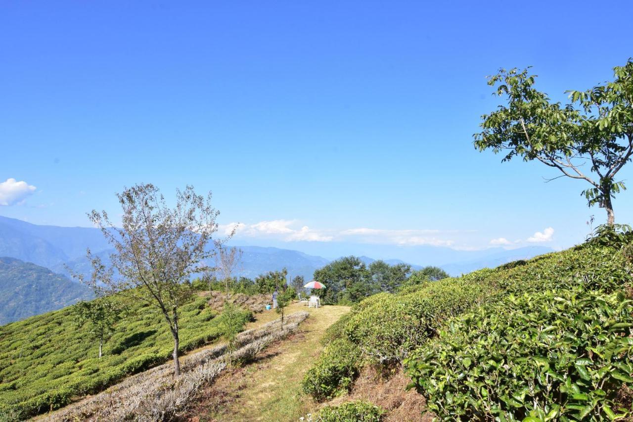 Singtom Tea Estate & Resort Дарджилинг Екстериор снимка